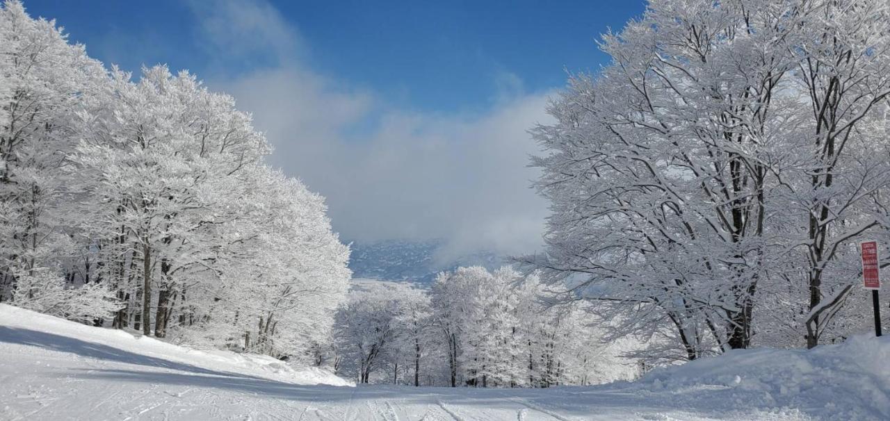 Konayuki Hotel Myoko Eksteriør billede