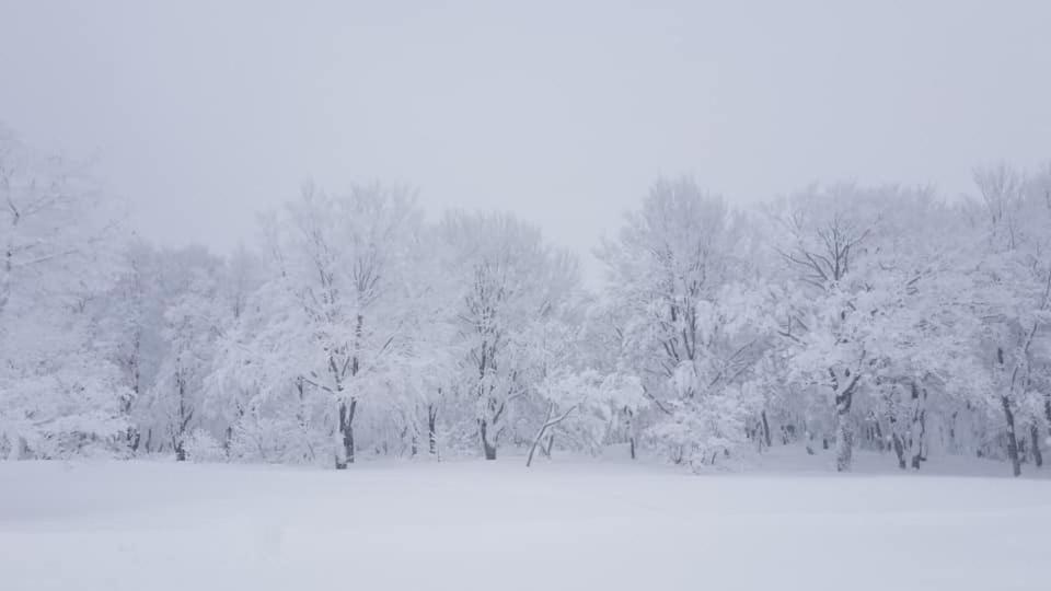 Konayuki Hotel Myoko Eksteriør billede